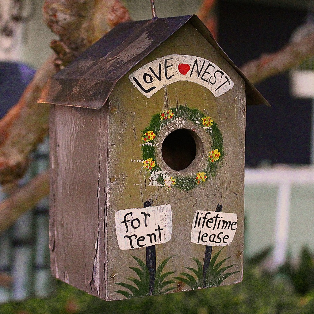 bird-house-507695_1280