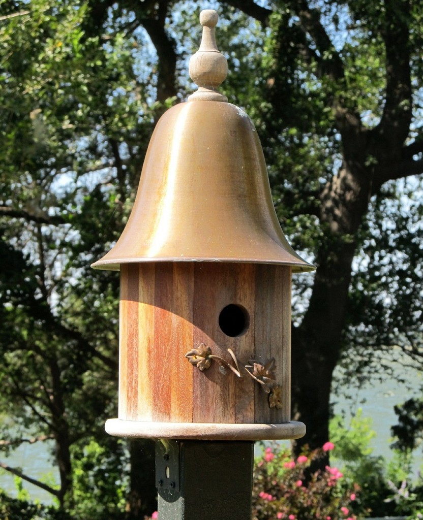 birdhouse-417248_1280