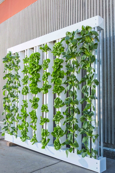 vertical-farm-916337_960_720